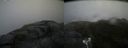 ./images/calvert/buxton2/20180630/buxton220180630_141458M.jpg