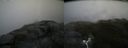 ./images/calvert/buxton2/20180630/buxton220180630_143458M.jpg