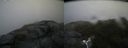 ./images/calvert/buxton2/20180630/buxton220180630_145458M.jpg