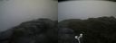 ./images/calvert/buxton2/20180630/buxton220180630_164458M.jpg