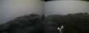./images/calvert/buxton2/20180630/buxton220180630_173958M.jpg