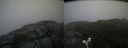 ./images/calvert/buxton2/20180630/buxton220180630_191958M.jpg