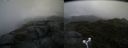 ./images/calvert/buxton2/20180701/buxton220180701_081459M.jpg