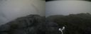 ./images/calvert/buxton2/20180701/buxton220180701_092958M.jpg