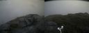 ./images/calvert/buxton2/20180701/buxton220180701_093458M.jpg