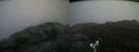 ./images/calvert/buxton2/20180701/buxton220180701_094958M.jpg