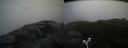 ./images/calvert/buxton2/20180701/buxton220180701_105958M.jpg