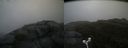 ./images/calvert/buxton2/20180701/buxton220180701_110458M.jpg