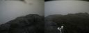 ./images/calvert/buxton2/20180701/buxton220180701_114458M.jpg