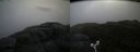 ./images/calvert/buxton2/20180701/buxton220180701_114958M.jpg
