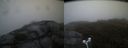 ./images/calvert/buxton2/20180702/buxton220180702_052457M.jpg