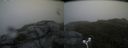 ./images/calvert/buxton2/20180702/buxton220180702_070458M.jpg