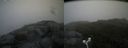 ./images/calvert/buxton2/20180702/buxton220180702_071458M.jpg