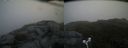 ./images/calvert/buxton2/20180702/buxton220180702_072458M.jpg