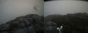 ./images/calvert/buxton2/20180702/buxton220180702_074958M.jpg