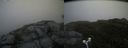 ./images/calvert/buxton2/20180702/buxton220180702_081458M.jpg