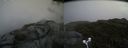 ./images/calvert/buxton2/20180702/buxton220180702_094458M.jpg