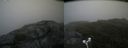 ./images/calvert/buxton2/20180702/buxton220180702_113958M.jpg