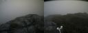 ./images/calvert/buxton2/20180702/buxton220180702_120458M.jpg