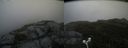 ./images/calvert/buxton2/20180702/buxton220180702_123958M.jpg
