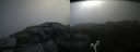 ./images/calvert/buxton2/20180703/buxton220180703_085458M.jpg