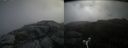 ./images/calvert/buxton2/20180703/buxton220180703_092458M.jpg