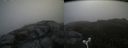 ./images/calvert/buxton2/20180703/buxton220180703_094958M.jpg