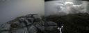 ./images/calvert/buxton2/20180703/buxton220180703_104458M.jpg