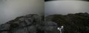 ./images/calvert/buxton2/20180703/buxton220180703_111458M.jpg