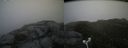 ./images/calvert/buxton2/20180703/buxton220180703_113958M.jpg