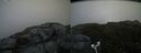 ./images/calvert/buxton2/20180703/buxton220180703_120458M.jpg