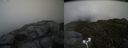 ./images/calvert/buxton2/20180703/buxton220180703_121458M.jpg
