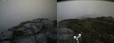 ./images/calvert/buxton2/20180703/buxton220180703_123958M.jpg