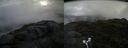 ./images/calvert/buxton2/20180706/buxton220180706_090458M.jpg