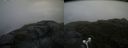 ./images/calvert/buxton2/20180706/buxton220180706_094458M.jpg