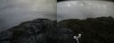 ./images/calvert/buxton2/20180706/buxton220180706_102458M.jpg