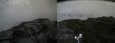 ./images/calvert/buxton2/20180706/buxton220180706_104958M.jpg