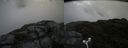 ./images/calvert/buxton2/20180706/buxton220180706_105958M.jpg