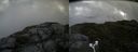 ./images/calvert/buxton2/20180706/buxton220180706_111458M.jpg
