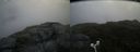 ./images/calvert/buxton2/20180706/buxton220180706_113958M.jpg