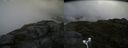 ./images/calvert/buxton2/20180706/buxton220180706_142958M.jpg