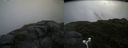 ./images/calvert/buxton2/20180706/buxton220180706_153458M.jpg