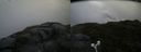 ./images/calvert/buxton2/20180706/buxton220180706_153958M.jpg