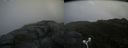 ./images/calvert/buxton2/20180706/buxton220180706_160458M.jpg