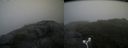 ./images/calvert/buxton2/20180706/buxton220180706_162457M.jpg