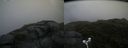 ./images/calvert/buxton2/20180706/buxton220180706_164958M.jpg