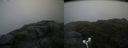 ./images/calvert/buxton2/20180706/buxton220180706_170458M.jpg