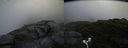 ./images/calvert/buxton2/20180706/buxton220180706_171458M.jpg