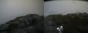 ./images/calvert/buxton2/20180707/buxton220180707_065457M.jpg