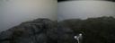 ./images/calvert/buxton2/20180707/buxton220180707_071458M.jpg